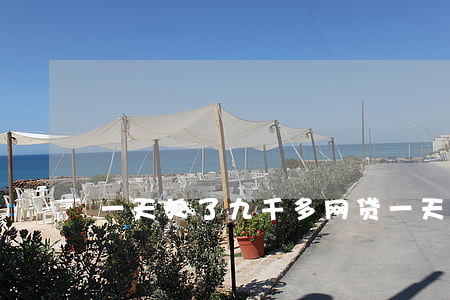 一天欠了九千多网贷(一天欠了九千多网贷)