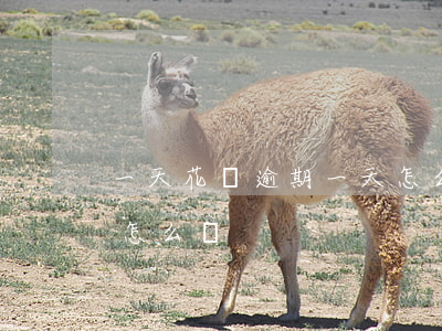 一天花唄逾期一天怎么還（一天花唄逾期一天怎么還）