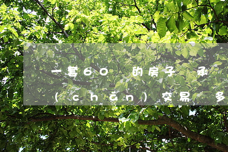 一套60萬的房子繼承稅是多少(繼承的房產(chǎn),交易稅多少)