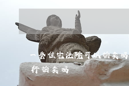 一套住宅法院可以拍卖吗(一套房法院可以执行拍卖吗)