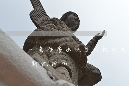 一套住房法院可以执行吗(一套住房法院能强制执行吗)