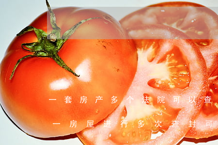 一套房产多个法院可以查封吗(同一法院对同一房屋进行多次查封可以吗?)