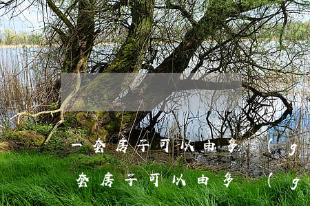 一套房子可以由多個(gè)法院查封嗎(一套房子可以由多個(gè)法院查封嗎)