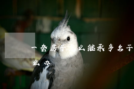 一套房子怎么继承(多名子女继承一套房产怎么办)