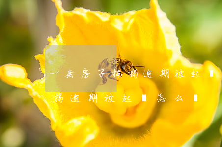 一套房子按揭逾期被起訴怎么辦（一套房子按揭逾期被起訴怎么辦）