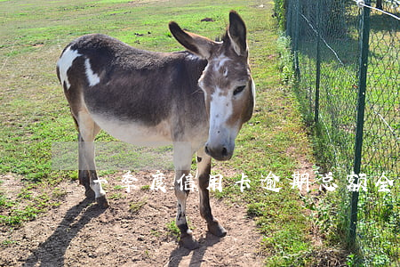 一季度信用卡逾期总额(全国信用卡逾期总额)