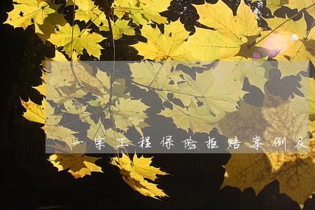 一宗工程保险拒赔案例及思考