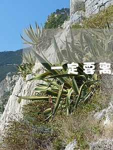 一定要离婚的人(想离婚一定能离吗)