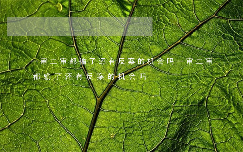 一审二审都输了还有反案的机会吗(一审二审都输了还有反案的机会吗)