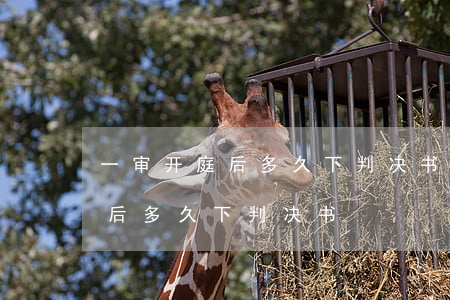 一审开庭后多久下判决书(刑事案件一审开庭后多久下判决书)