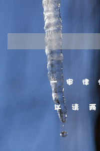 一审律师和二审律师可以是一个人吗(二审可以请两个律师吗)