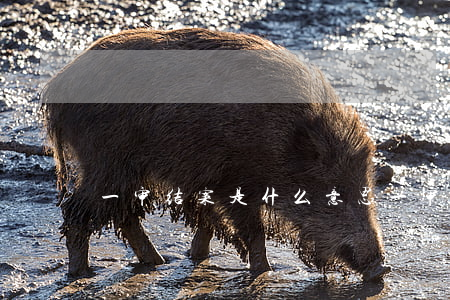 一审结案是什么意思(一审结案是什么意思)