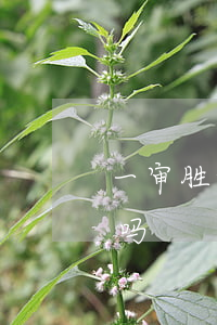 一审胜诉二审还会胜吗(一审胜诉二审会败诉吗)