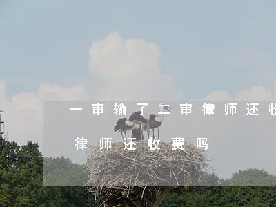 一审输了二审律师还收费吗(一审判决后二审律师还收费吗)