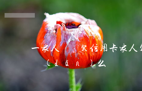 一家人沒錢欠信用卡(家人欠的信用卡,子女承擔(dān)么)