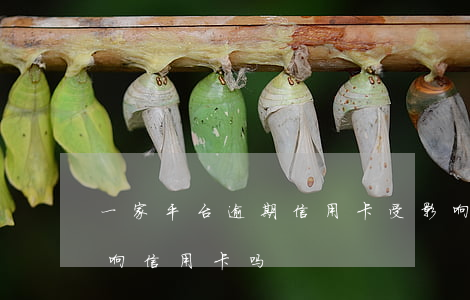 一家平台逾期信用卡受影响吗(网贷逾期会影响信用卡吗)