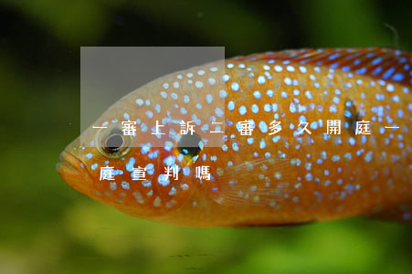 一審上訴二審多久開庭(一審上訴二審多久開庭宣判嗎)