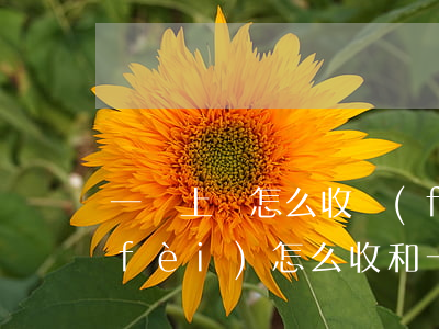 一審上訴怎么收費(fèi)(二審上訴費(fèi)怎么收?和一審一樣嗎?)
