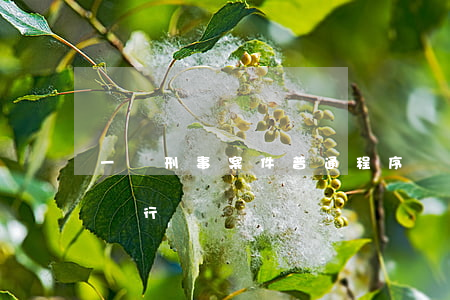 一審刑事案件普通程序辦案規(guī)范（試行）