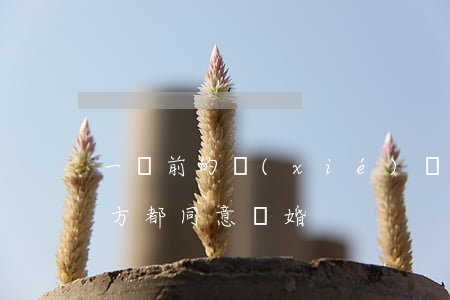 一審前的協(xié)議離婚有效嗎(一審雙方都同意離婚)