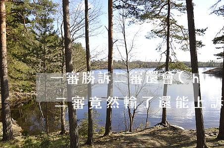 一審勝訴二審還會(huì)勝嗎(一審贏了二審竟然輸了還能上訴嗎)