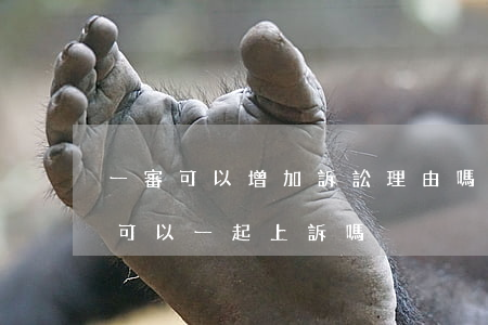一審可以增加訴訟理由嗎(幾個(gè)原告可以一起上訴嗎?)