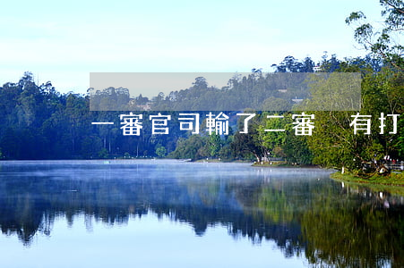 一審官司輸了二審沒有打怎么辦