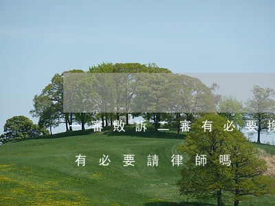 一審敗訴二審有必要換律師嗎(一審贏了,二審有必要請律師嗎)