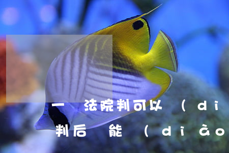 一審法院判可以調(diào)解嗎(法院宣判后還能調(diào)解嗎)