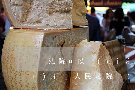 一審法院可以強(qiáng)制執(zhí)行嗎(人民法院強(qiáng)制執(zhí)行)