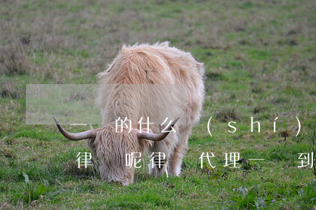一審的什么時(shí)候請(qǐng)律師呢(律師代理一審到什么時(shí)候結(jié)束)