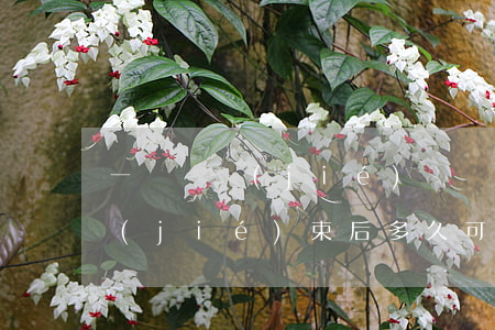 一審終結(jié)訴訟可以上訴嗎(一審結(jié)束后多久可以上訴)