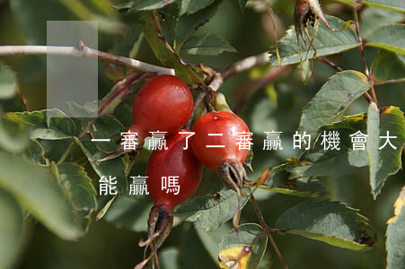 一審贏了二審贏的機會大嗎(一審輸了二審可能贏嗎)
