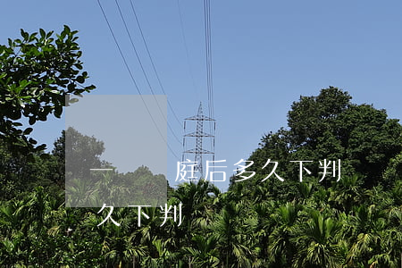 一審開庭后多久下判決書(法院一審開庭后多久下判決書)