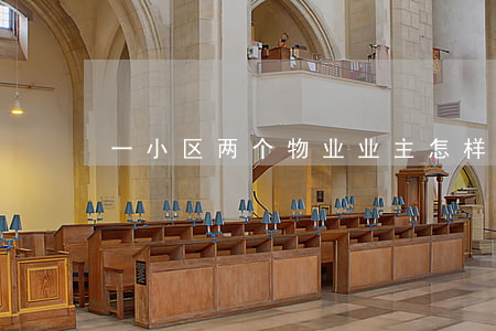 一小区两个物业,业主怎样维权