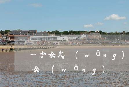 一少女欠網(wǎng)貸(三個(gè)少女網(wǎng)貸還不上)