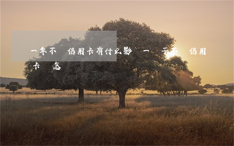 一年不還信用卡有什么影響(一輩子不還信用卡會怎樣)