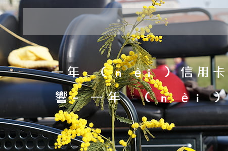 一年內(nèi)信用卡逾期一次有什么影響-一年內(nèi)信用卡逾期一次有什么影響嘛