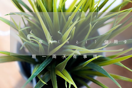 一年內(nèi)信用卡逾期兩次（信用卡逾期一兩天有事嗎）