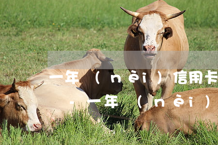一年內(nèi)信用卡逾期兩次影響征信嗎-一年內(nèi)信用卡逾期兩次影響征信嗎