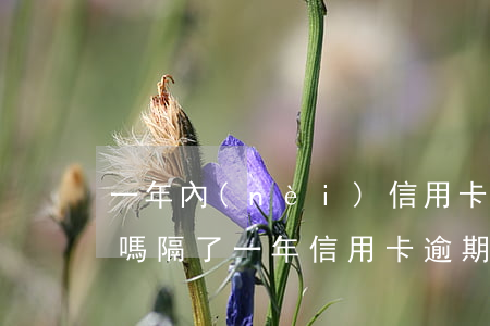 一年內(nèi)信用卡逾期兩次影響征信嗎（隔了一年信用卡逾期）