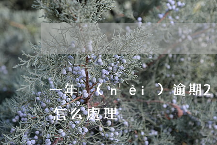 一年內(nèi)逾期2房貸(房貸逾期2年怎么處理)