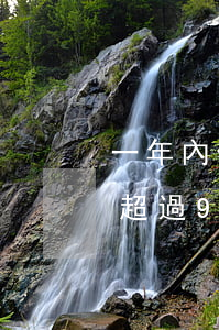 一年內信用卡逾期三次（信用卡有兩次逾期不超過90天）