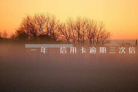 一年內信用卡逾期三次（信用卡逾期上報一次）
