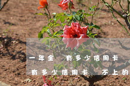 一年全國有多少信用卡還不上的-一年全國有多少信用卡還不上的人呢