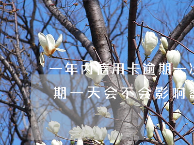 一年内信用卡逾期一次有什么影响（信用卡逾期一天会不会影响额度）