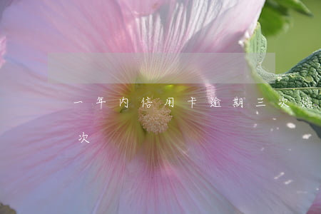 一年内信用卡逾期三次（信用卡连续逾期十三次）