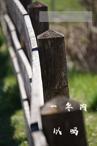 一年内无逾期办贷款 一年内无逾期办贷款可以吗