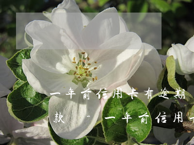 一年前信用卡有逾期現(xiàn)在能貸款嗎-一年前信用卡有逾期現(xiàn)在能貸款嗎知乎