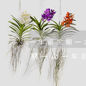 一年前逾期一次一年后又逾期了-一年前逾期一次一年后又逾期了怎么辦